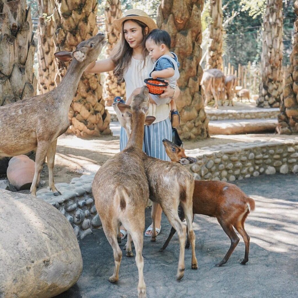 Stefany Talita Visa Blog Pencari Soal Stefany Talita Visa Blog Pencari Soal